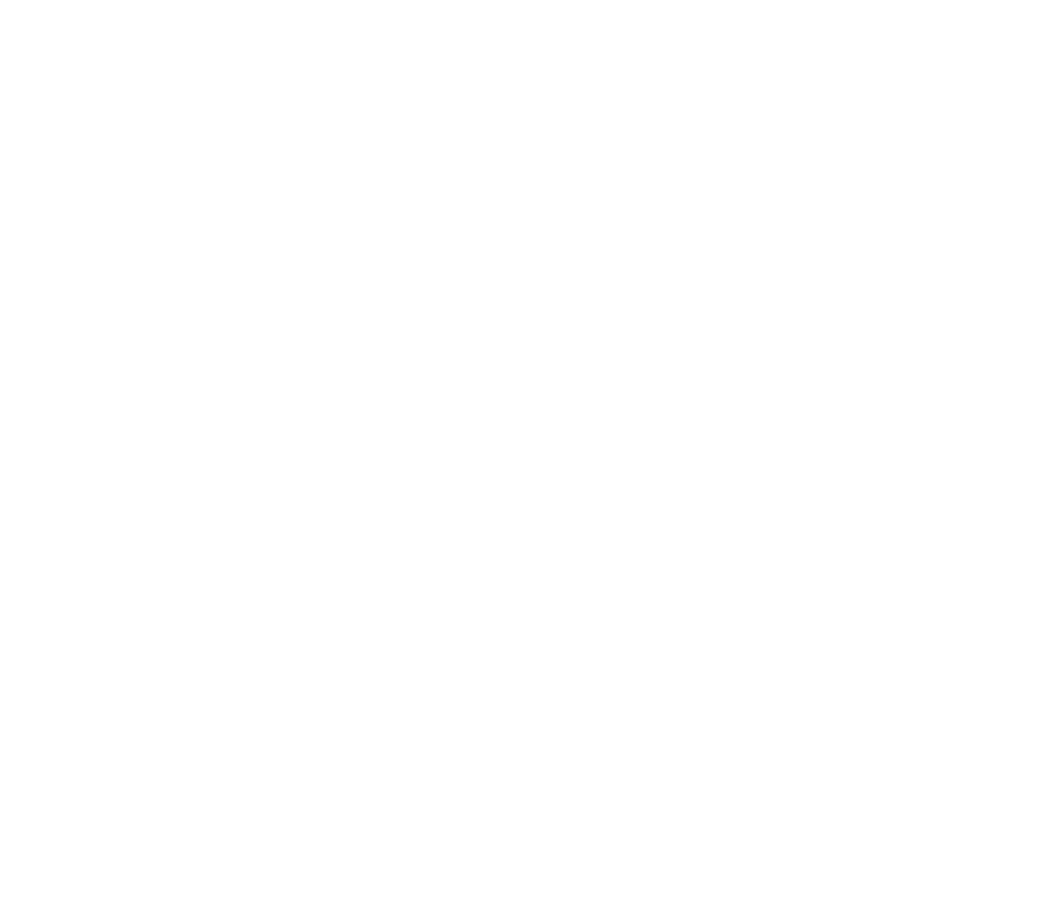 Logo BIM